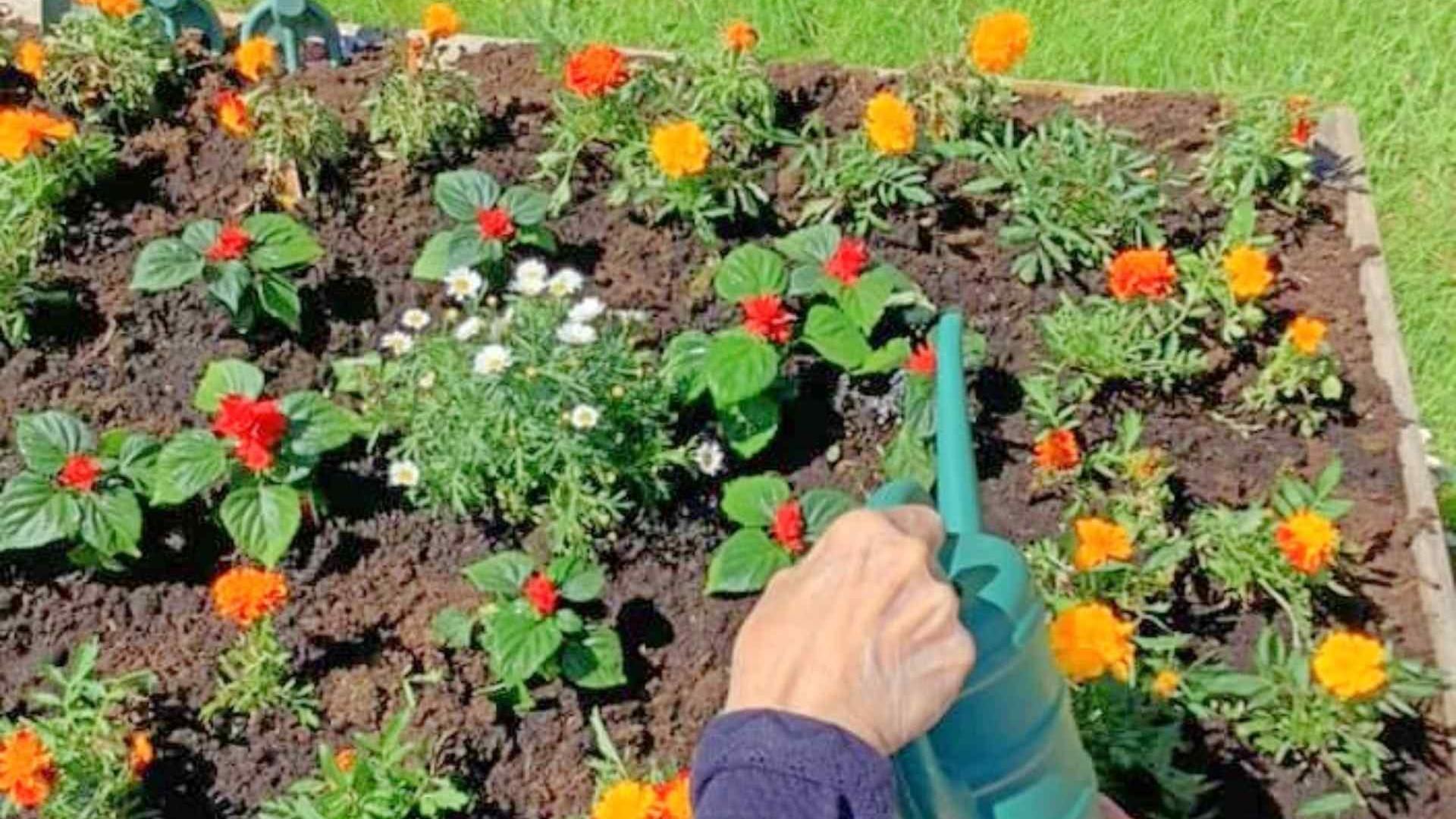 Thriving Care Home in Leeds We Celebrate Life